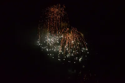 DSC_3396 (Large).JPG